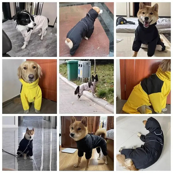 All-Weather Pooch Protector