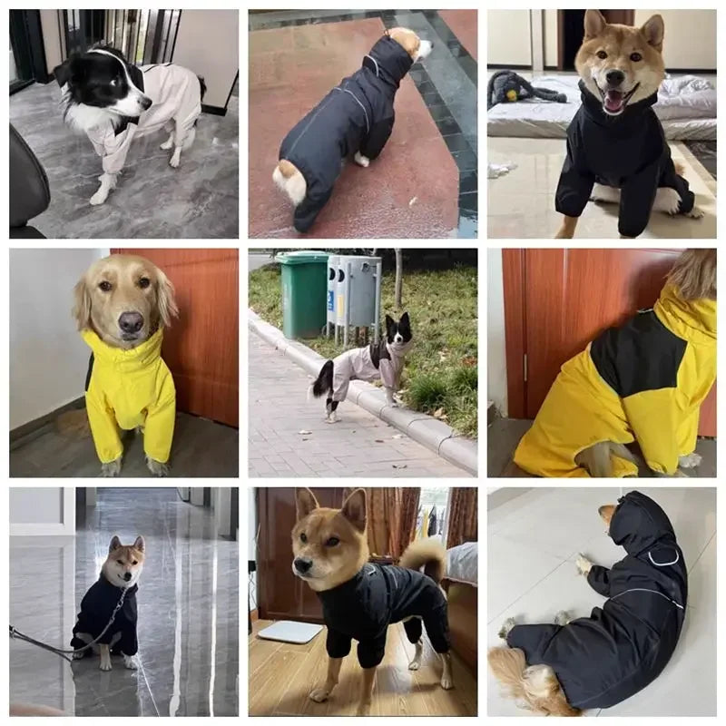 All-Weather Pooch Protector