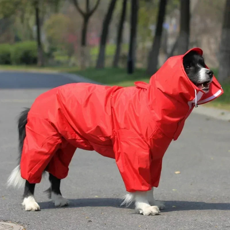 Stylish Dog Raincoat
