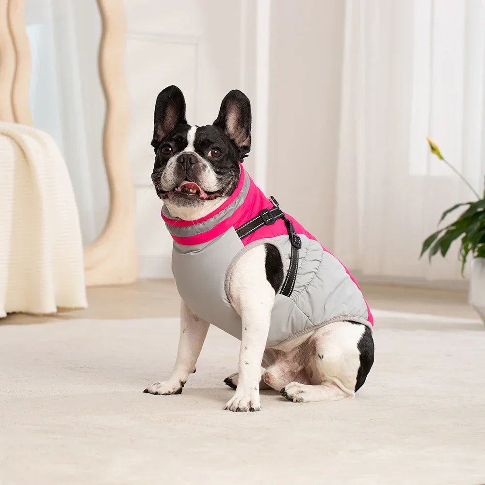 Cozy Waterproof Dog Jacket