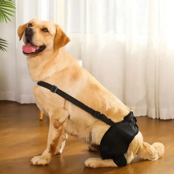 Pet Knee & Hip Support Brace
