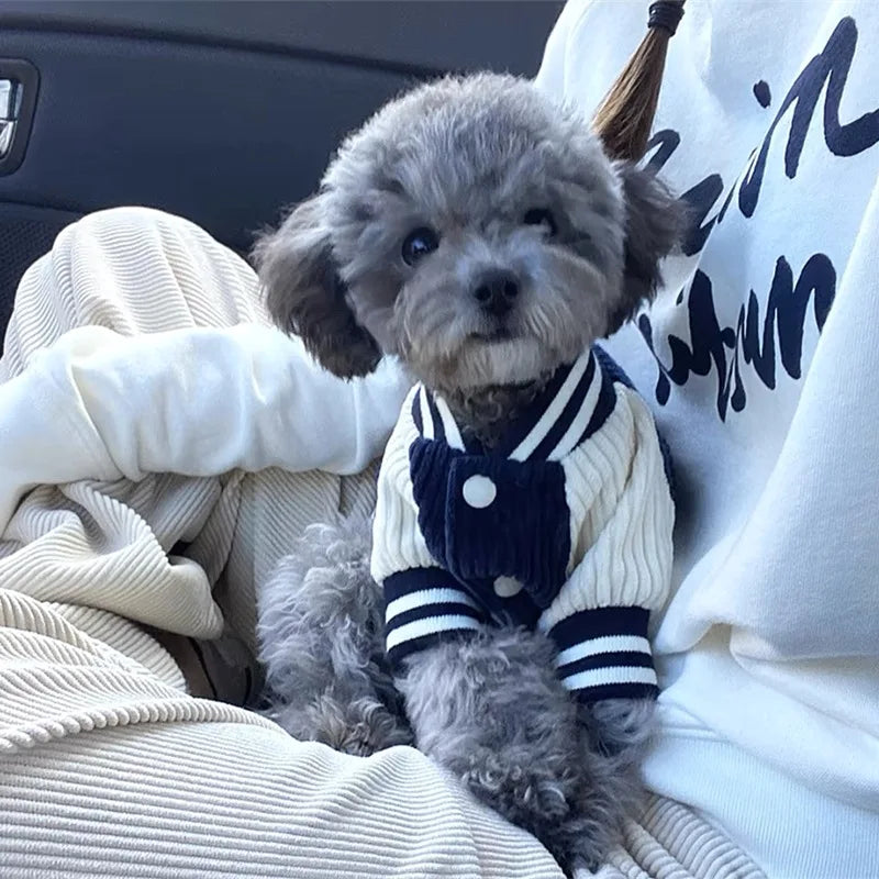 Chic Pet Baseball Jacket