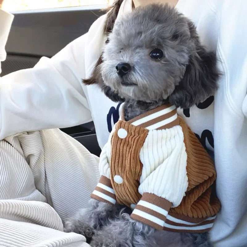Chic Pet Baseball Jacket