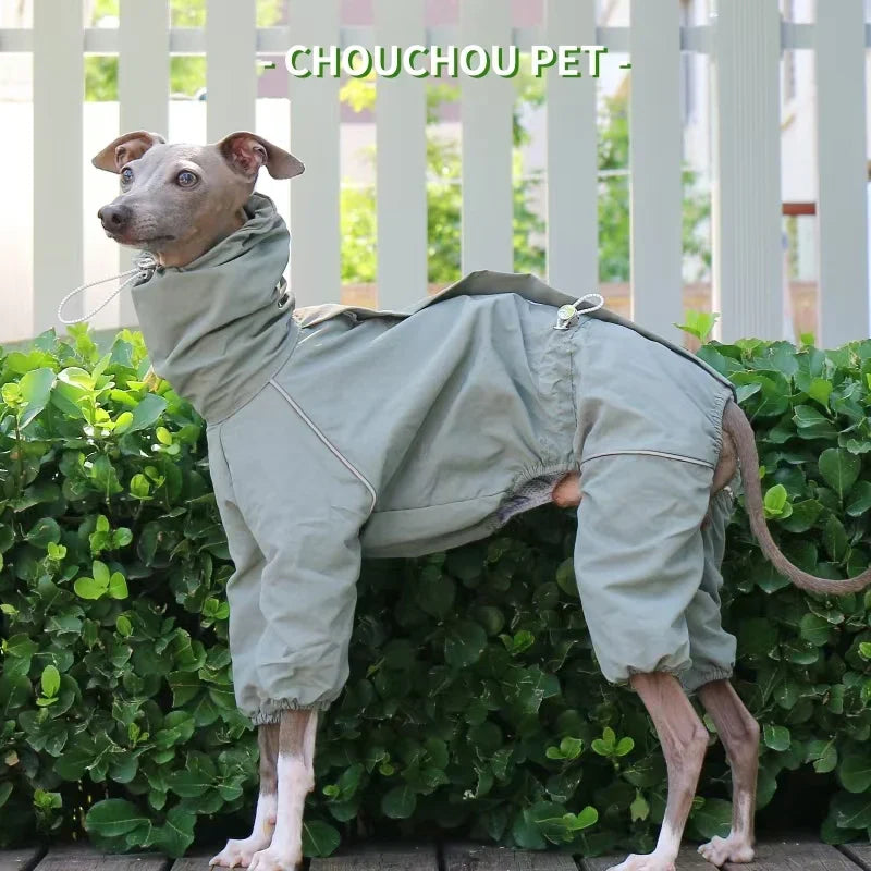 Cozy Paws Raincoat