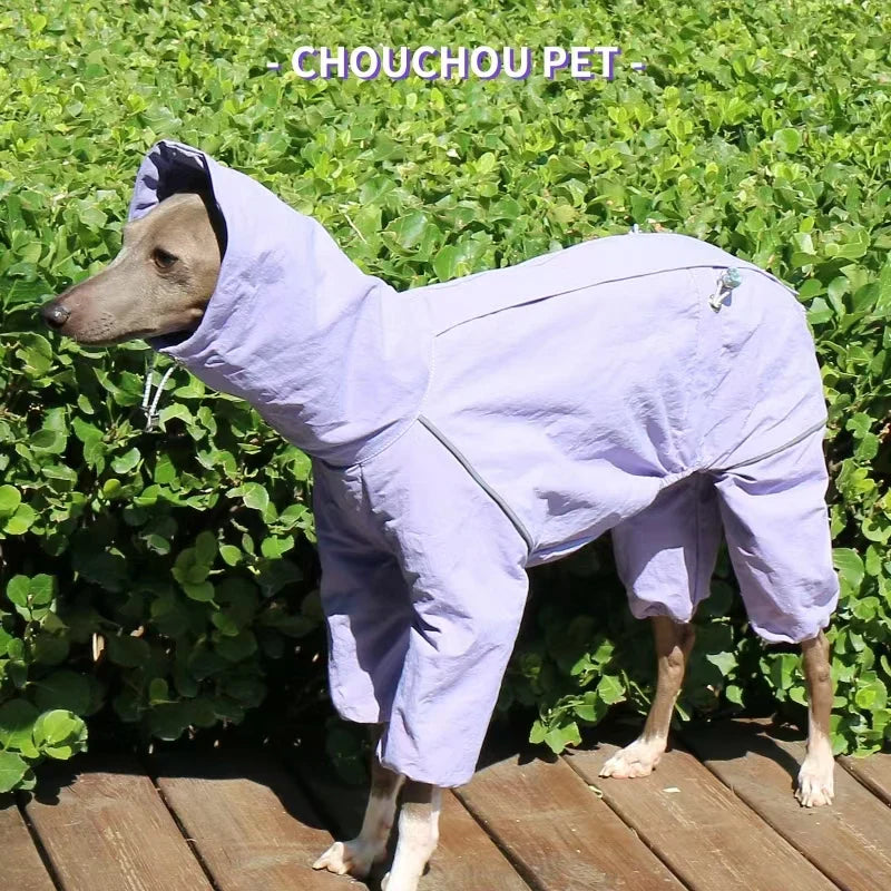 Cozy Paws Raincoat