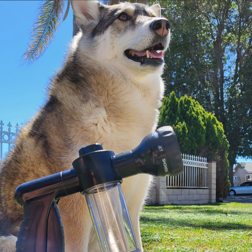 Super Splash Car Washer