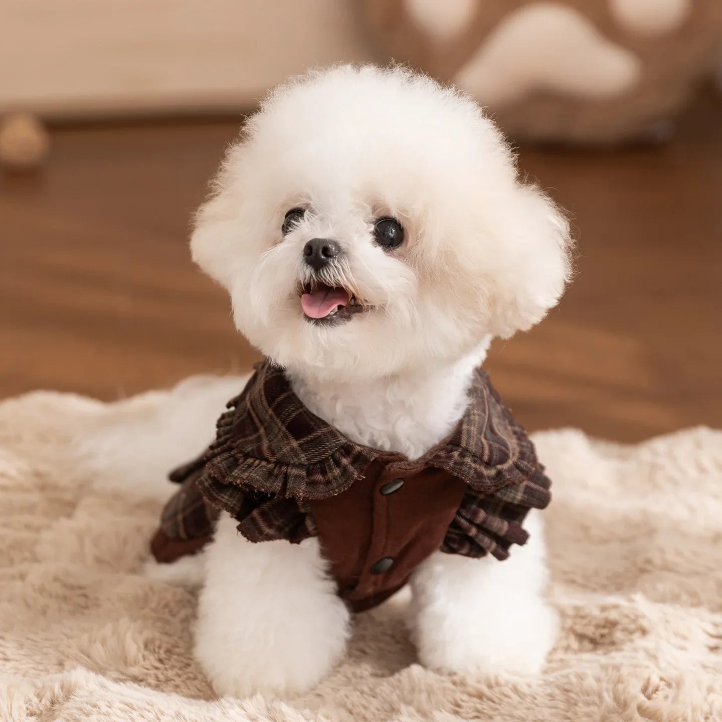 Chic Pet Plaid Hoodie Dress