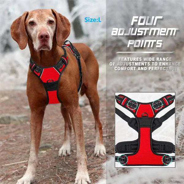 Luxury Leather Dog Harness Set